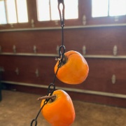 もっとずぼらな柿の干し方 色々