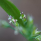 業をなす力に気づく：認識