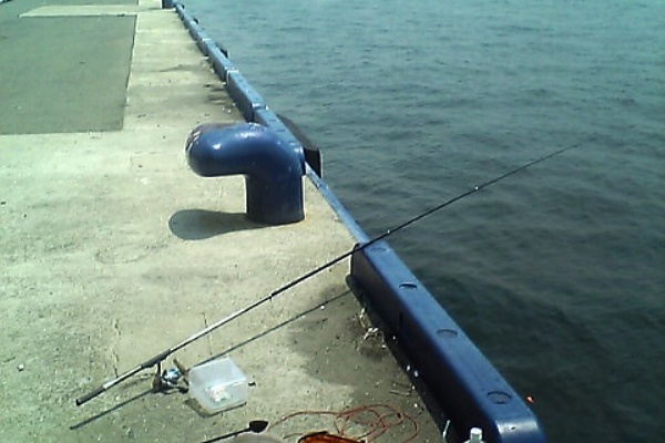 にわか釣り師の釣果日記