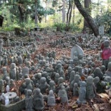 『【梨の木・願・宿根木】お地蔵様がいっぱい』の画像