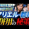めちゃくちゃハムを的確に分析してて面白すぎる