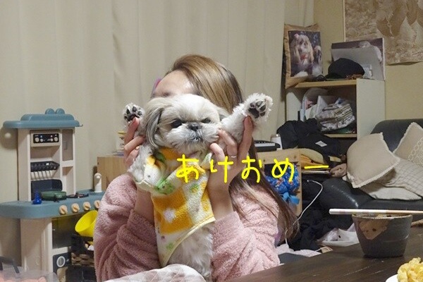 シーズー犬あゆみらなのさっ！