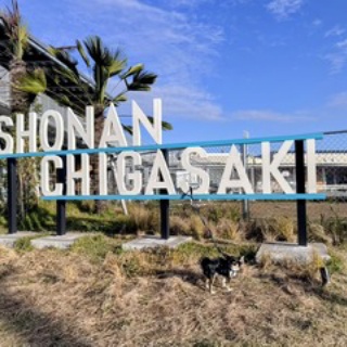 『シーン・ホーム・ファクトリー』リフォーム日記＾0＾