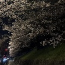 【深夜徘徊】京都で散歩