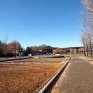 2025年 昭和記念公園、点描📸