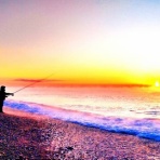 西湘ヒラメ日記