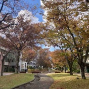 ʤΤ٤ơɲؤ˹դ򸫤˹Ԥä