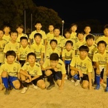 『約20種類』の画像