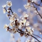 【1-3】長崎＆佐賀イベント・お出かけ情報！　2月13日（金）〜19日（木）