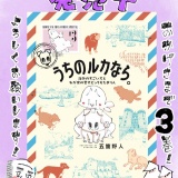 ㊗️本日発売🐶