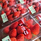 イチゴ🍓ハウスより………No.3