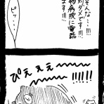 ﾈｺﾁｬﾝのﾆﾝｹﾞﾝ育成日記