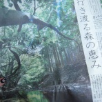 猫バーさんは、すぐに忘れる。