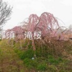 はかりびと　測量日記　＾＾