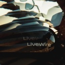アメリカ　LiveWireがアメリカの電動バイクの 4 分の 3 のシェアがある？との意味