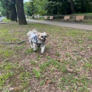 愛犬と一緒に光が丘公園でお散歩。*\(^o^)/*