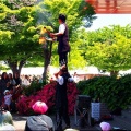 今回は、5/17(日)に「第59回〝福山ばら祭2026〟」行きのGONsanでした(^.-)☆(04)