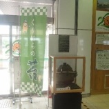 『苔玉「ねじりほんにょ」は今！！』の画像