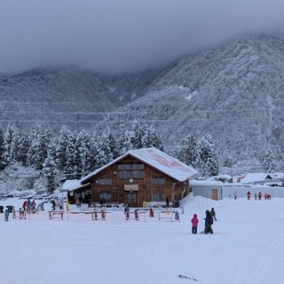 悪いキツネのスキー日記