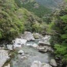 4月の樅ノ木山の景色