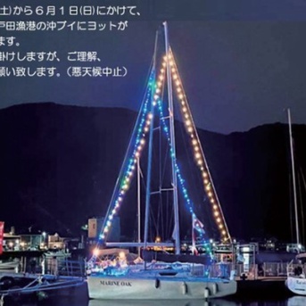 戸田港にヨットが集合！戸田レース2025は5月31日に号砲！ヨットにも乗れちゃう体験もあるって。（沼津市戸田）