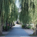 ルーツを探る（信州中野篇）