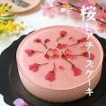 春のお楽しみ♪桜のレアチーズケーキ！