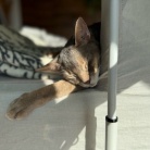 寝相がひどい、ひどすぎる(๑¯◡¯๑)