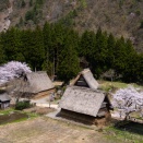 2026.4.11　一枚の彩時季