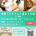 保護うさぎ譲渡会 第40回 保護うさぎさんに逢おうの会in大阪【10/18】