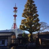 『◼︎サバイバル転職セミナー報告』の画像