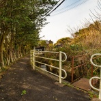 （ ﾟ毒ﾟ）< しんどい。