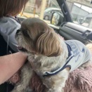 愛犬と一緒に洗車。*\(^o^)/*