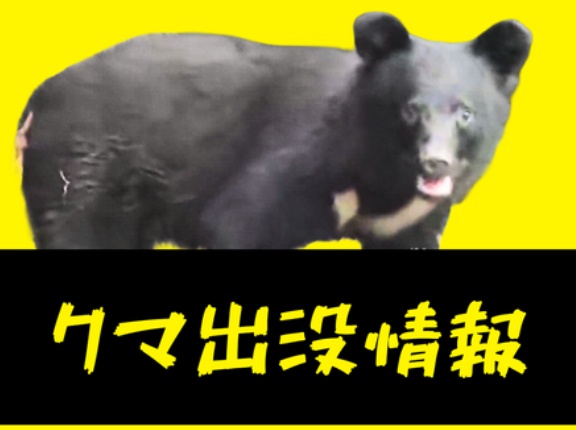 【青森】「洗車中、背後にいた」三沢駅南側や住宅地でクマ目撃相次ぐ　同一個体か
