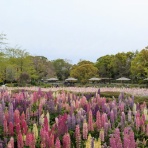 自然体で行こうじゃないか！