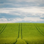 友だちいない研究所