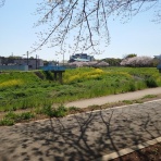 何でも、ひらめき。