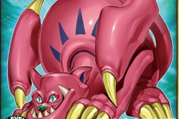 遊戯王&ドラゴンボール通販予約情報局