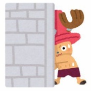 【悲報】ワンピースのチョッパーが描かれたユニクロTシャツを数年着続けた結果ｗｗｗ