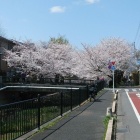 �غ������٤β���