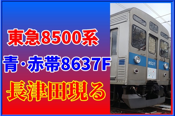 湘南色の部屋（Shonan-color train） - 車両の動き（東急・伊豆急）