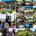 今回は、5/17(日)に「第59回〝福山ばら祭2026〟」行きのGONsanでした(^.-)☆(02)