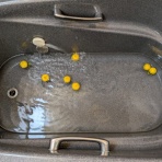 ６１歳BABAの悪あがき