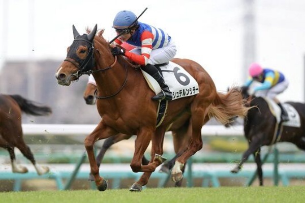 友駿ホースクラブ 退会 いつでも友駿ホースクラブ