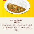 ココイチ、グランドマザーカレーｷﾀ━━━━(ﾟ∀ﾟ)━━━━!!