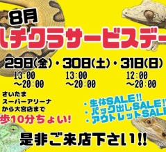今週末はハチクラサービスデー特別Ver！　BO帰りのご来店でお得なサービスが…！