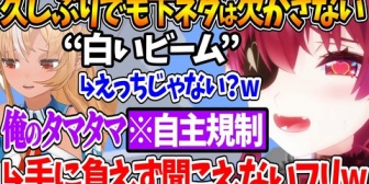 【ホロライブ】久しぶりのオフコラボでも下ネタを欠かさない船長、フレアに聞こえないフリをされて流されてしまうｗ