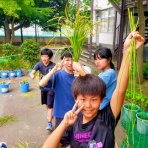 辰沼小学校のblog