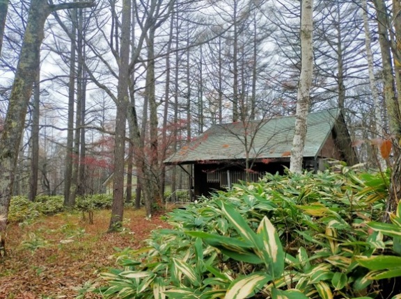 山奥でいきなり家建てちゃ駄目なん？