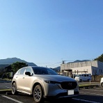 トリと自転車と私